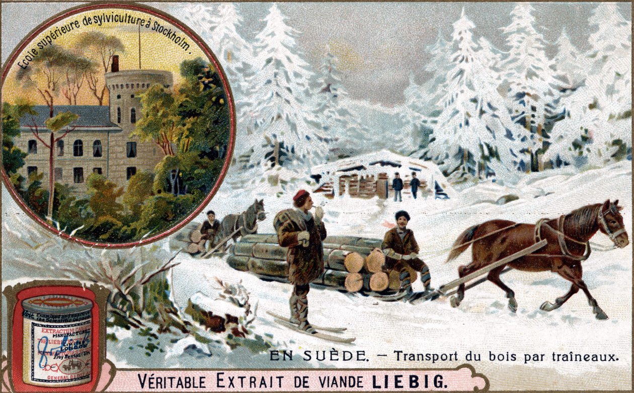 Transporte de madeira por trenós, Suécia. Cromolitografia, imagem de Liebig. de Unknown artist