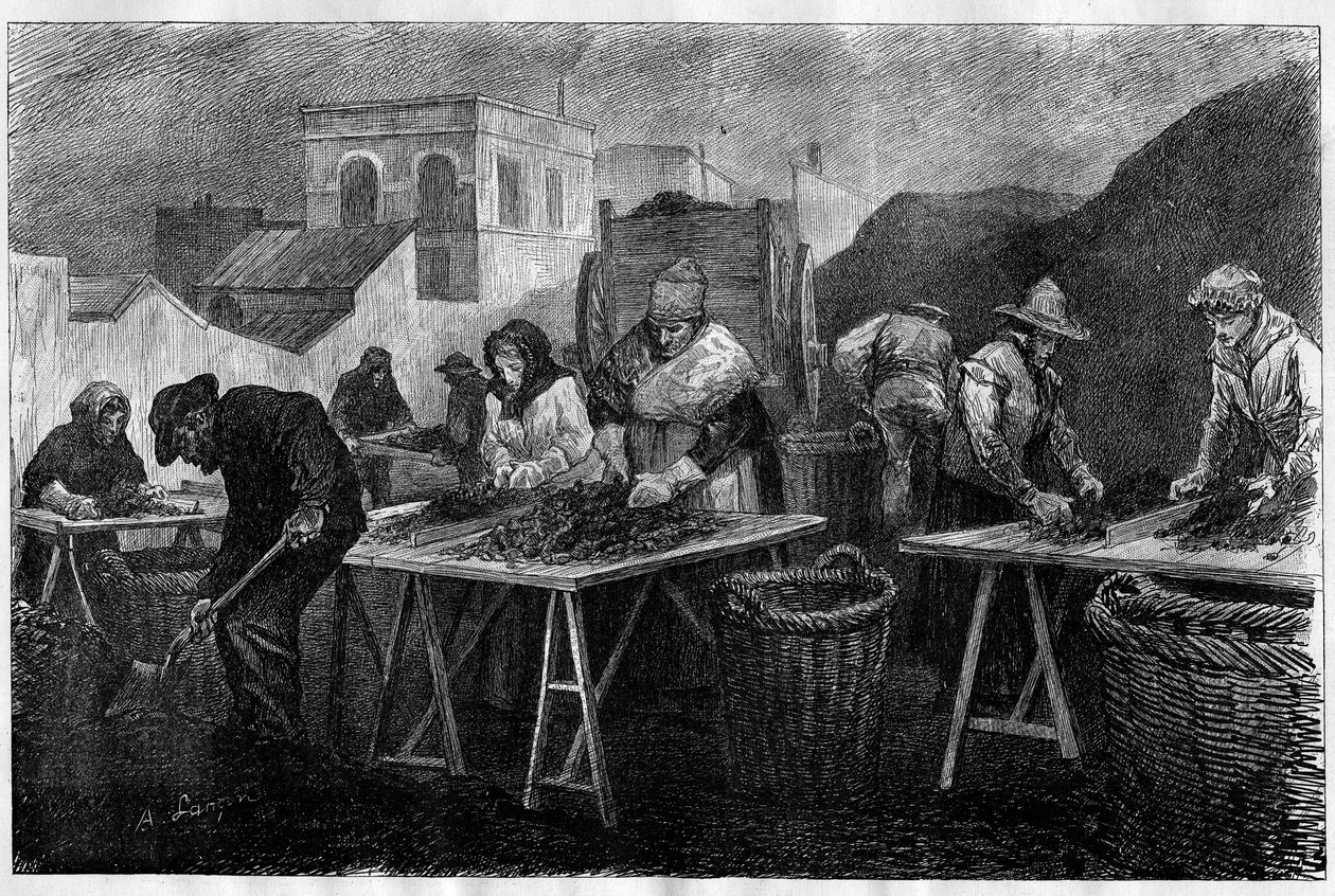 Trabalhadores em França: Classificadores de coque (Variedades de carvão resultantes da destilação do carvão, utilizadas no aquecimento) numa fábrica de gás em Paris Gravação no "Le Monde Illustré". de Unknown artist
