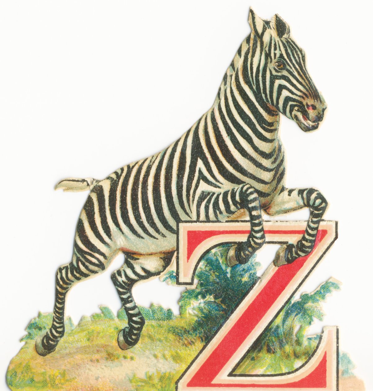 De: Zebra de Unknown artist