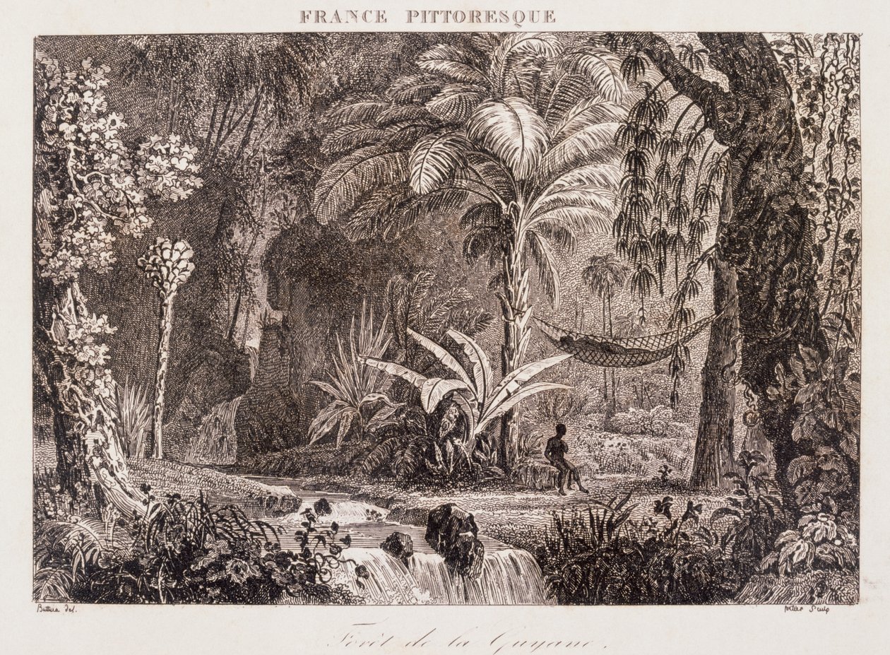 gravura representando a colónia francesa da Guiana na América do Sul 1850 de Unknown artist