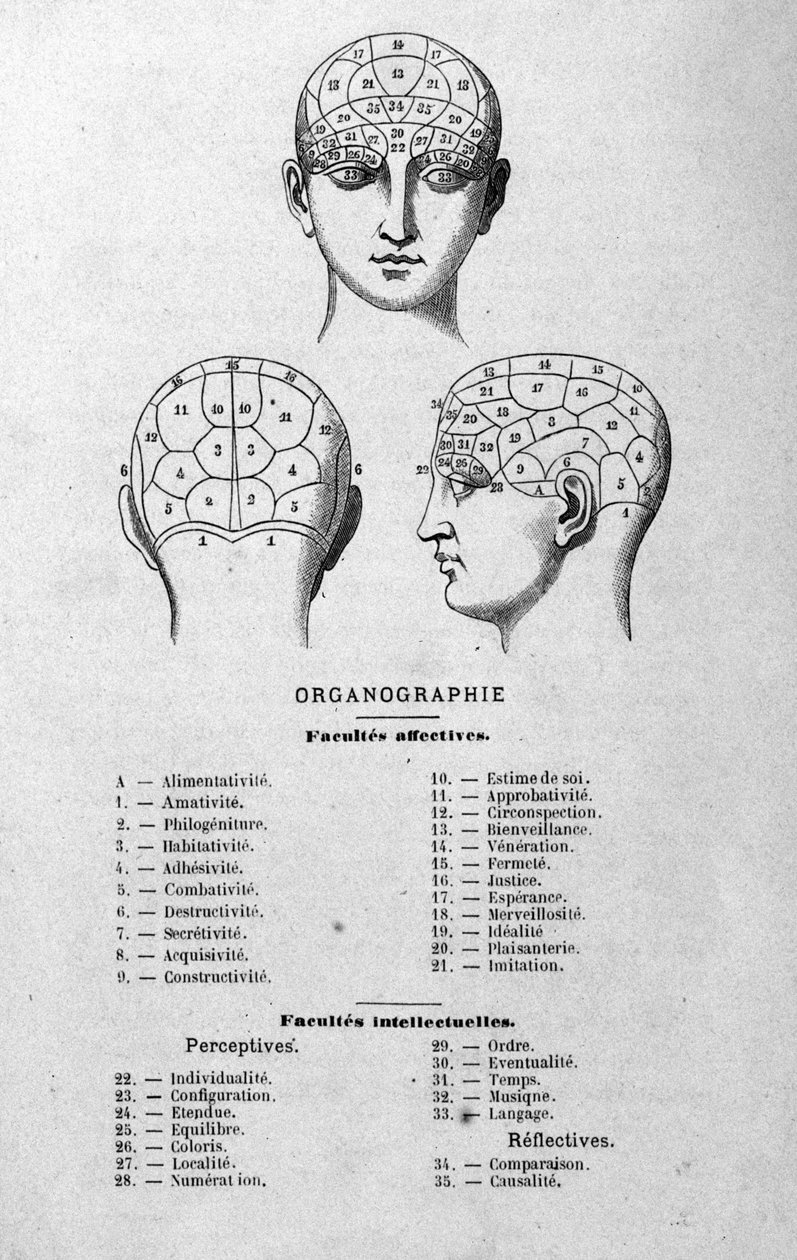 ilustração do livro de Charles Rouvin de 1873 Organographie La Tête humaine, estudos ilustrados de frenologia e fisionomonia aplicados a personagens famosos Paris 1873 de Unknown artist