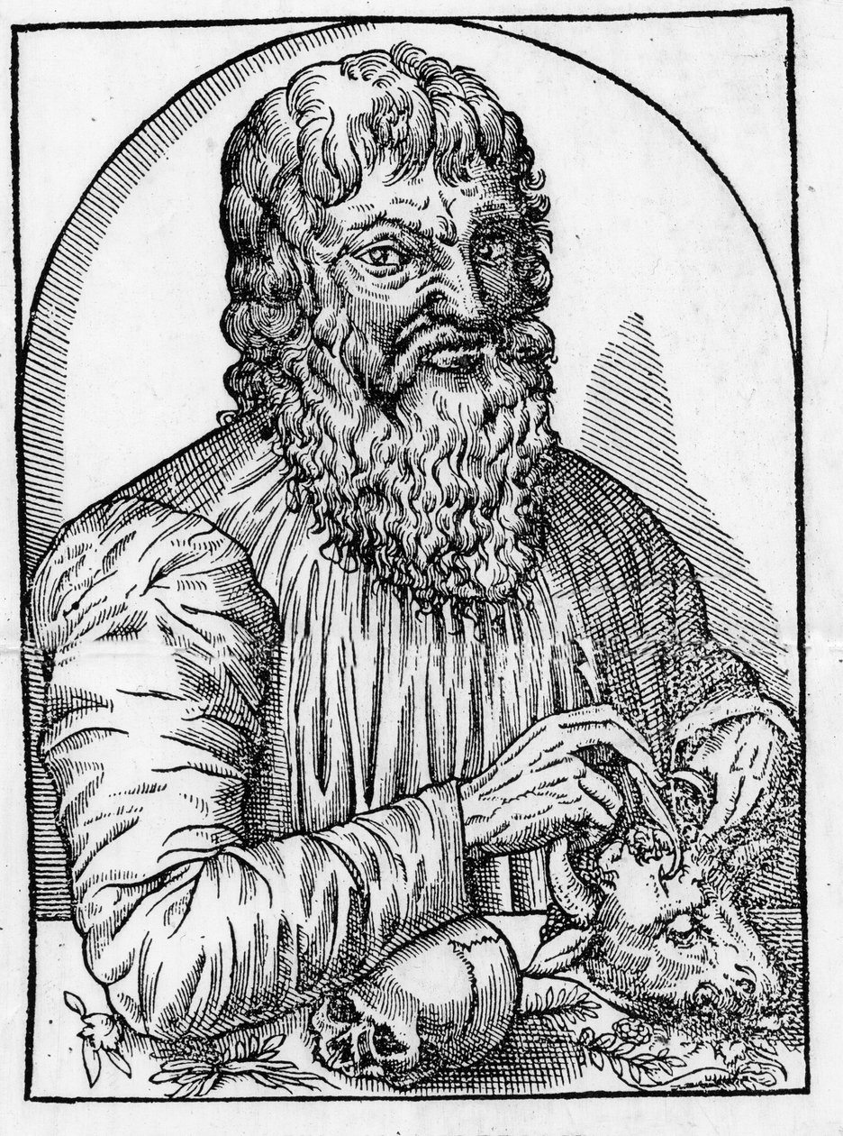 retrato de Hipócrates (460- por volta de 377 a.C.), médico grego. de Unknown artist