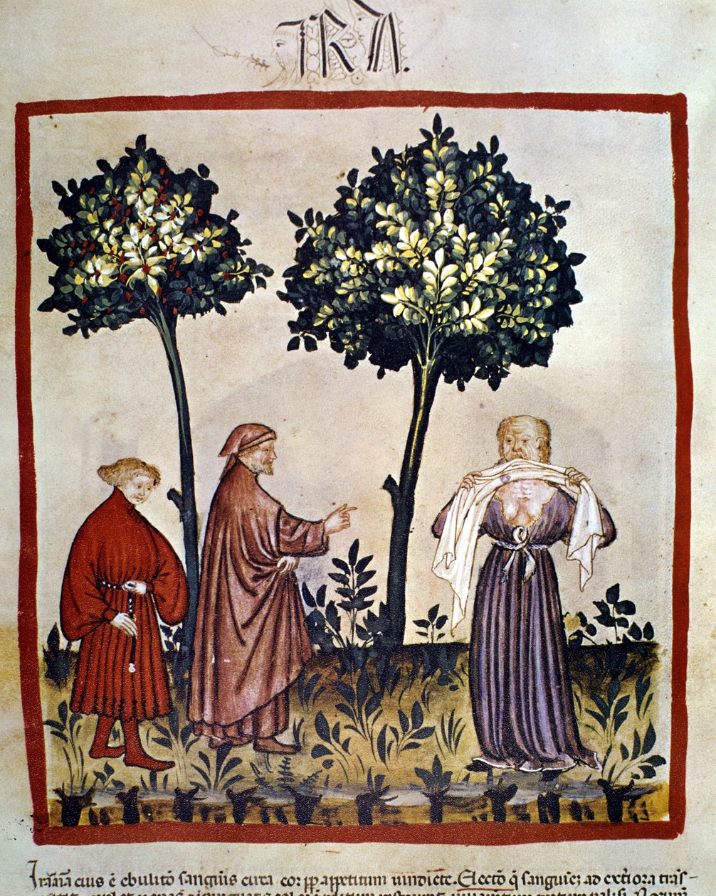 raiva ou pessoa zangada espremendo tecido entre os dentes. Iluminação do século XIV do "Tacuinum Sanitatis", Viena, Biblioteca Nacional. de Unknown artist
