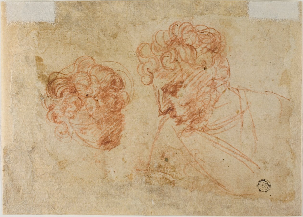 Dois esboços de cabeças (frente); dois esboços de mulher coberta (verso) de Unknown Florentine