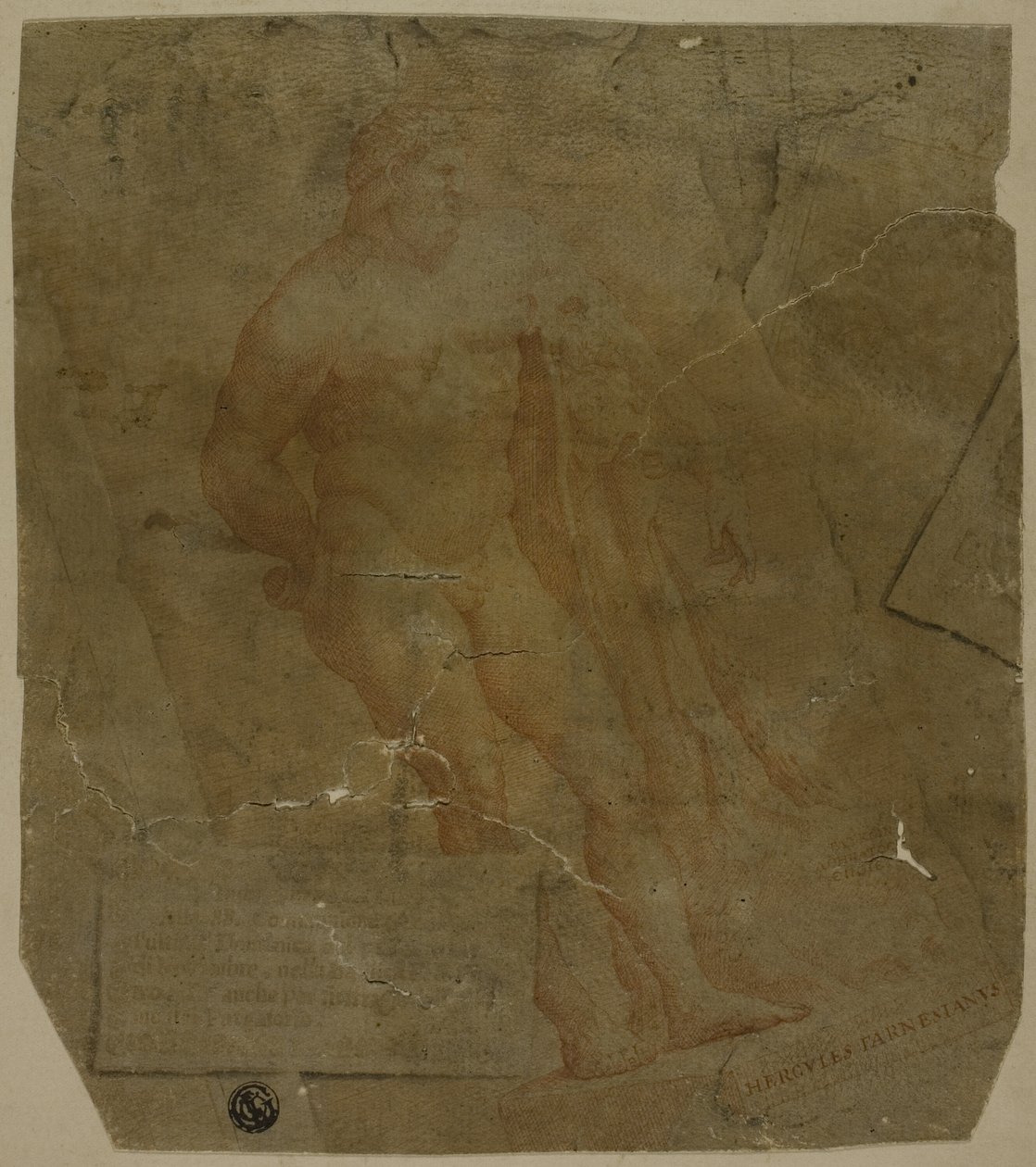 Hércules de Unknown Italian