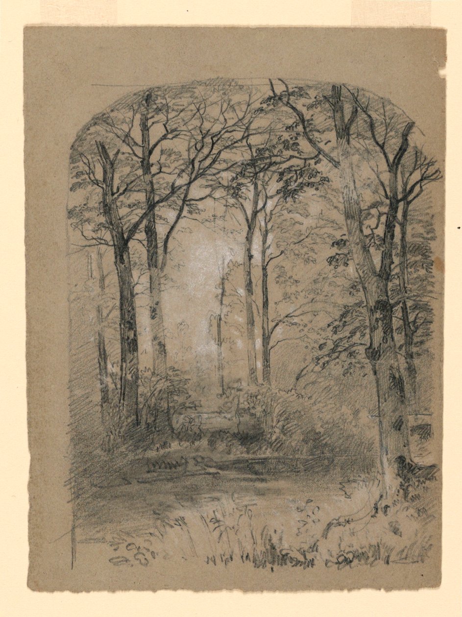 Desenho, Estudo do bosque, 1865-70 de Unknown artistUnknown artist