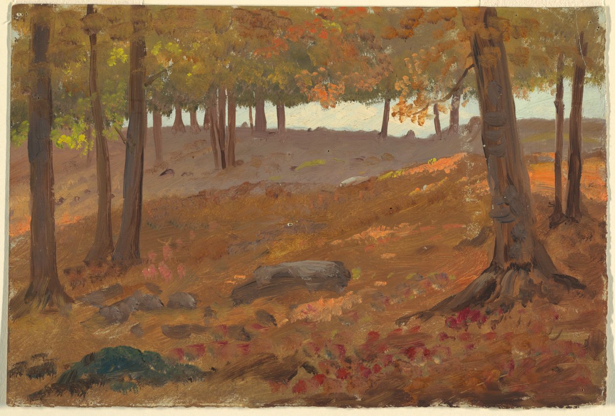 Desenho, Bosque no outono, 1870-80 de Unknown artistUnknown artist