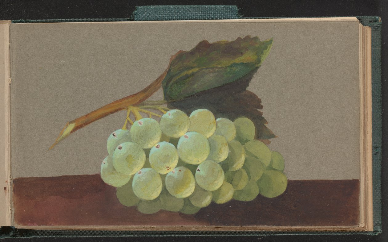 Um Bando de Uvas de Unknown artist