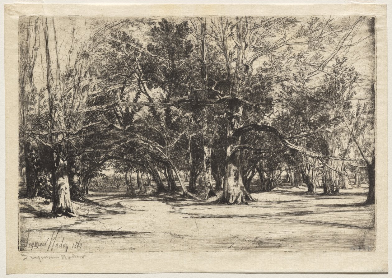Uma estrada secundária em Tipperary de Unknown artist