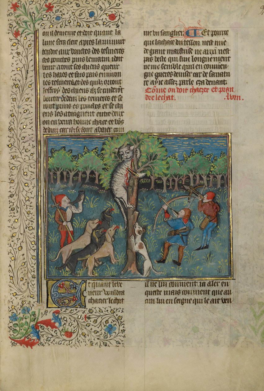 Um caçador e cães atacam um gato selvagem arborizado de Unknown artist
