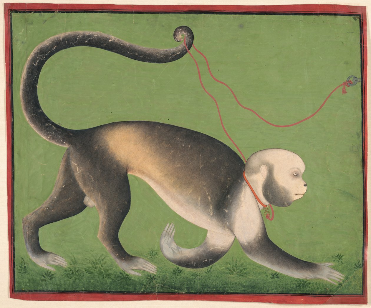 Um retrato monumental de um macaco de Unknown artist