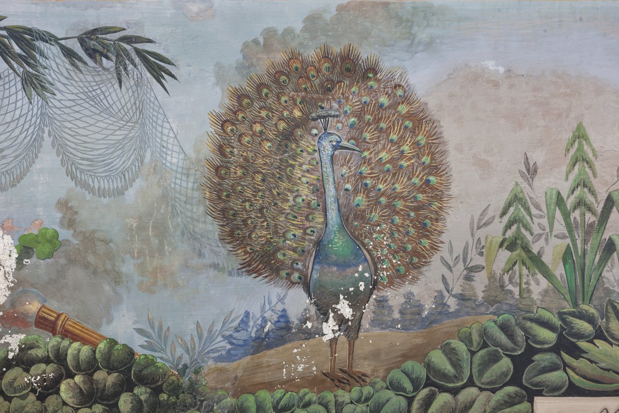 Um pavão, detalhe de 3743687 (fresco) de Unknown artist