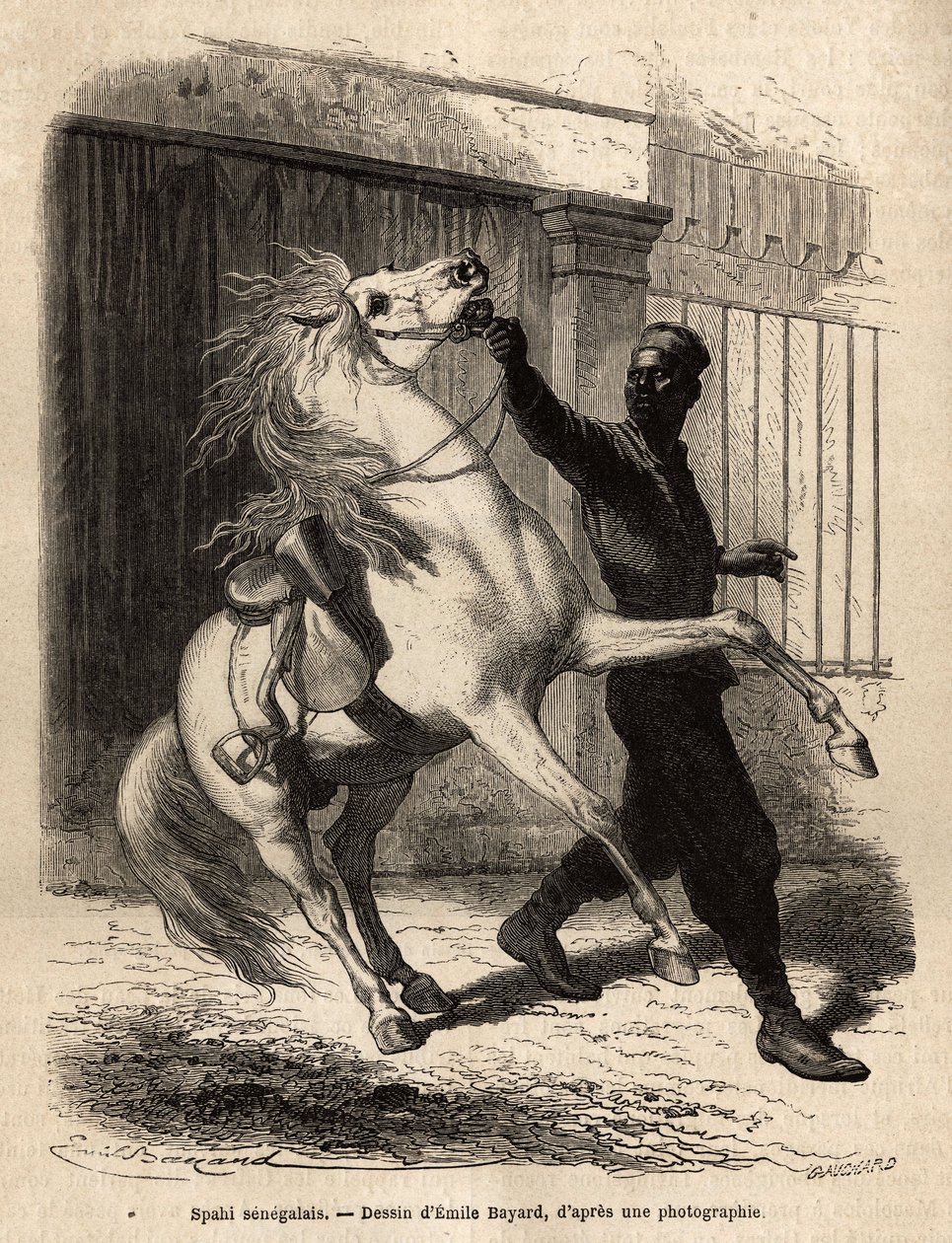 Um spahi senegalês (cavaleiro) em Saint-Louis (Saint Louis). Gravura para ilustrar um cruzeiro na costa da África, pelo Vice-Almirante Fleuriot de Langle, em 1868, publicada em "Le tour du monde" 1872, editada por Edouard Charton, edição Hachette, Paris. de Unknown artist