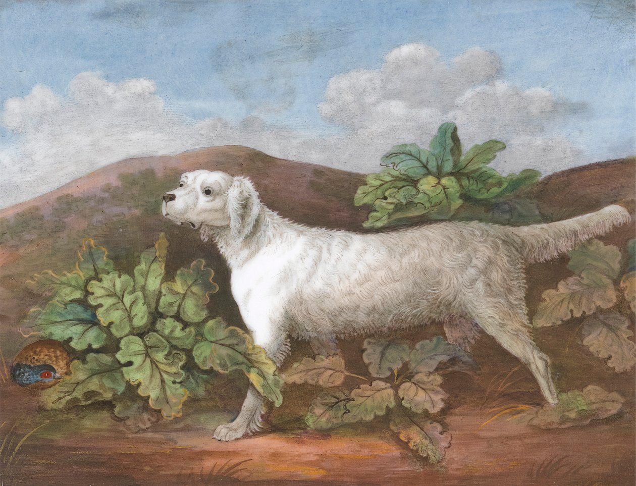 Um Setter: Virado para a esquerda, com uma perdiz a esconder-se entre os bardos à esquerda de Unknown artist