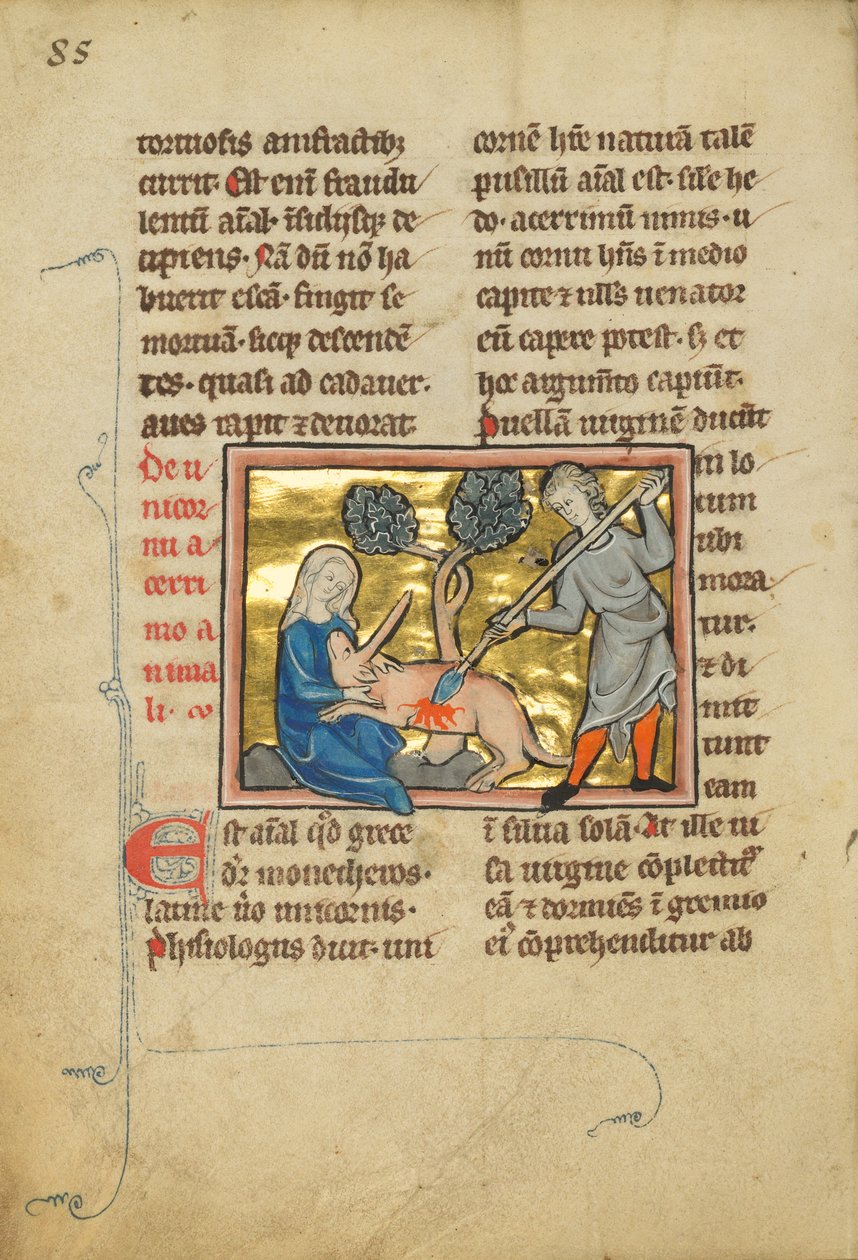 Um unicórnio com a cabeça no colo de uma donzela de Unknown artist