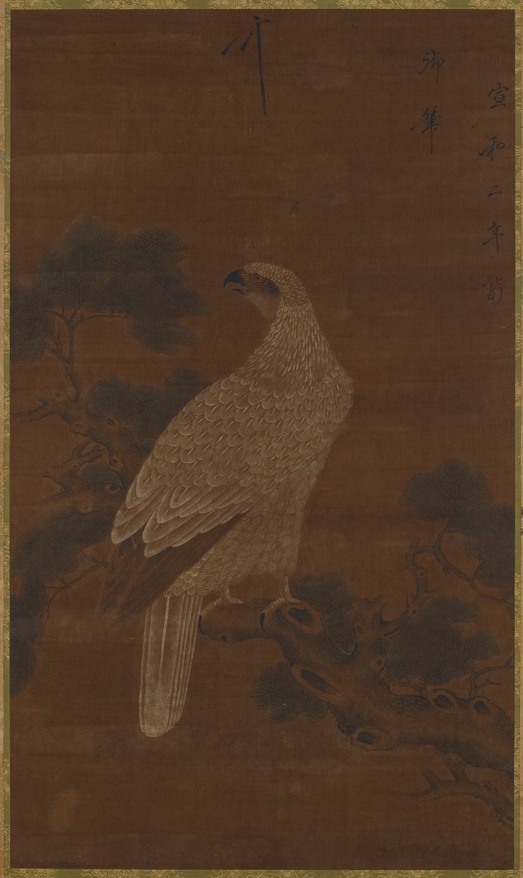 Uma águia branca em um galho de pinheiro de Unknown artist