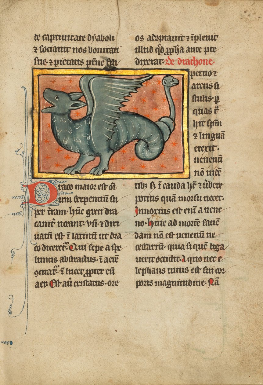 Um dragão alado de Unknown artist