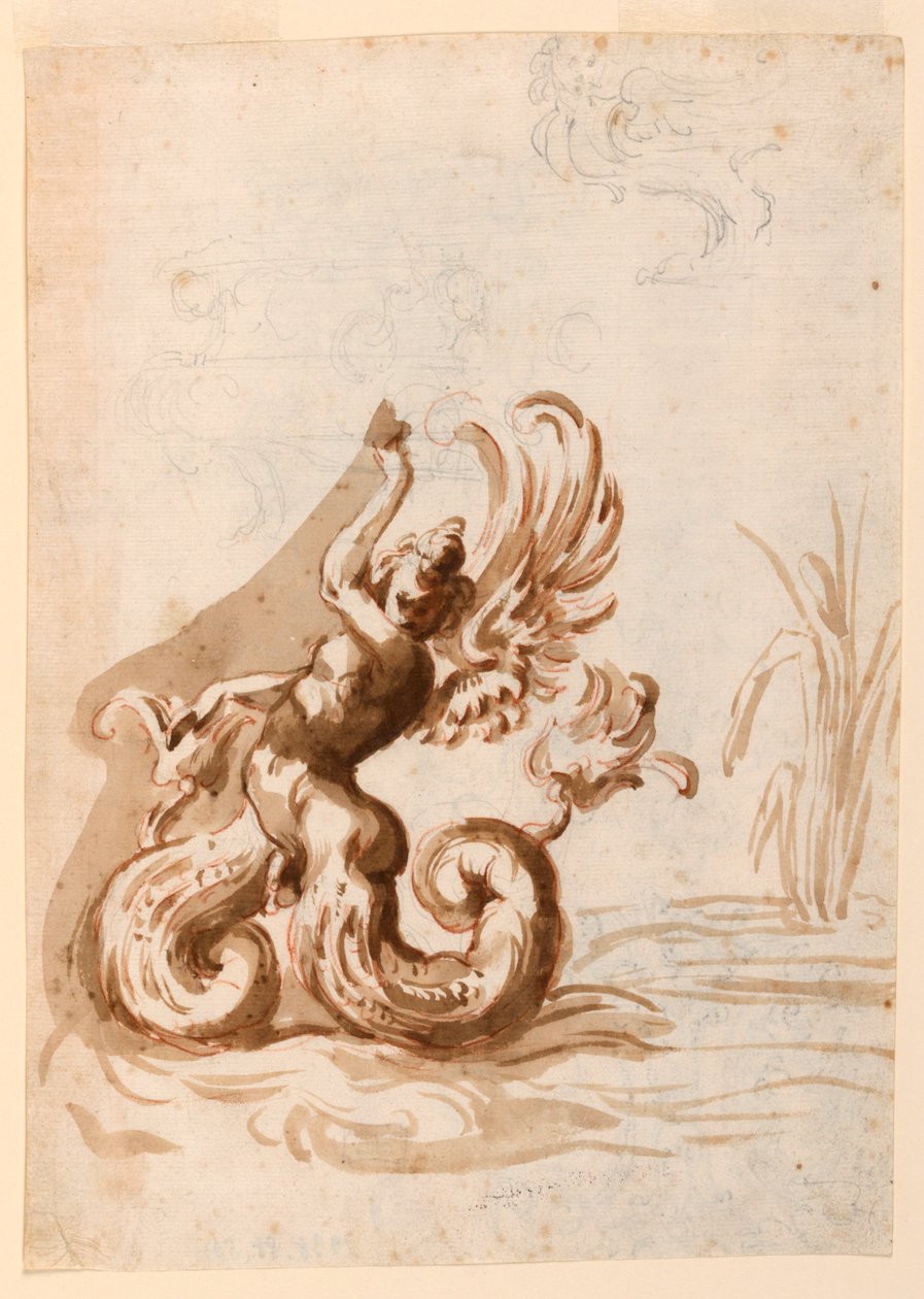 Um Hermafrodita Mer alado e esboços para uma tigela de Unknown artist
