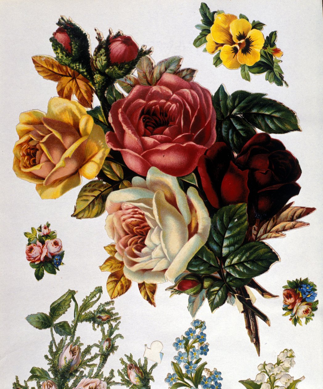 Um buquê de rosas. Cromolitografia do século XIX. de Unknown artist