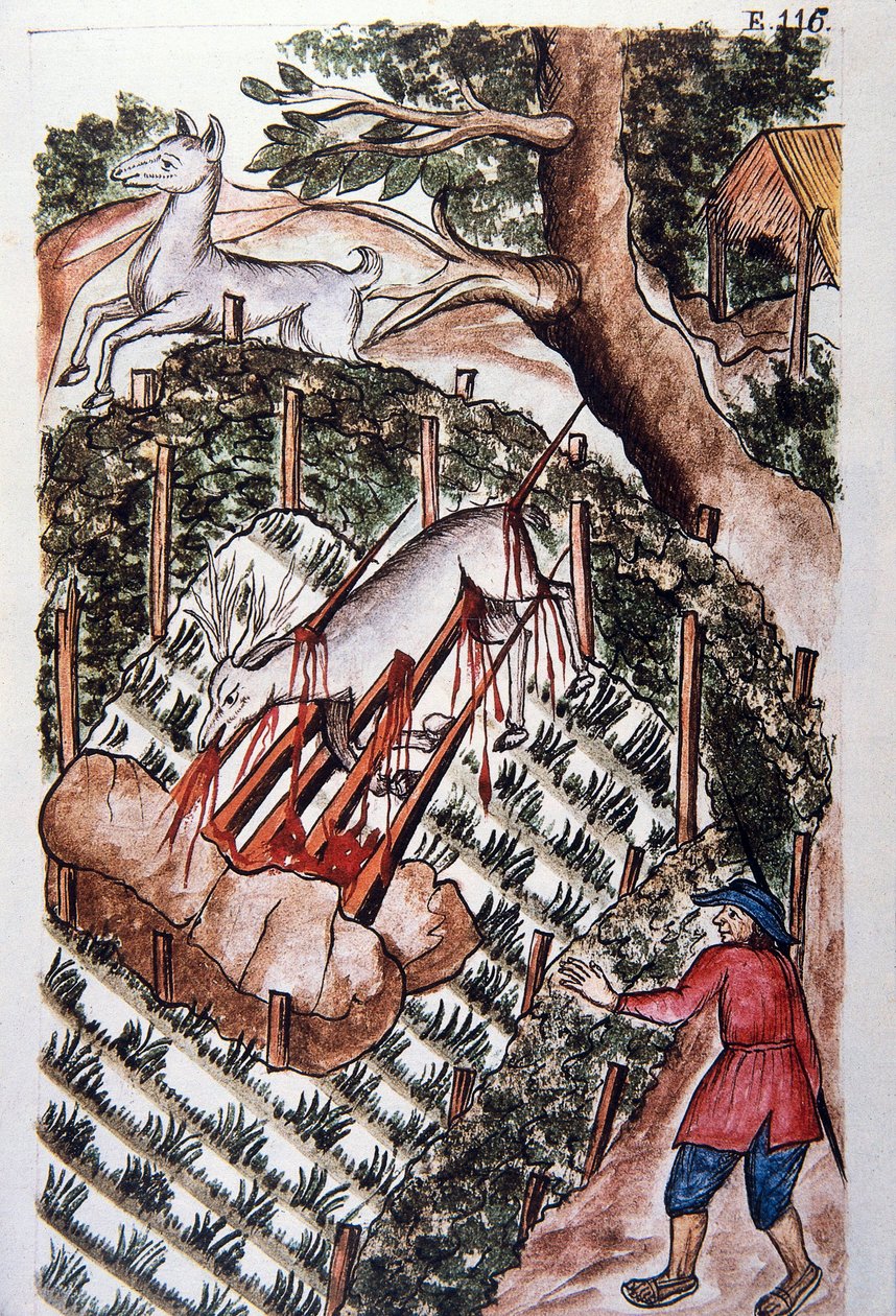 Um veado cai na armadilha dos caçadores, do livro "Trujillo del Peru" ou "Códice Martínez Compañón", de Baltazar Martinez Compañón y Bujanda, bispo de Trujillo (1782-1785) de Unknown artist
