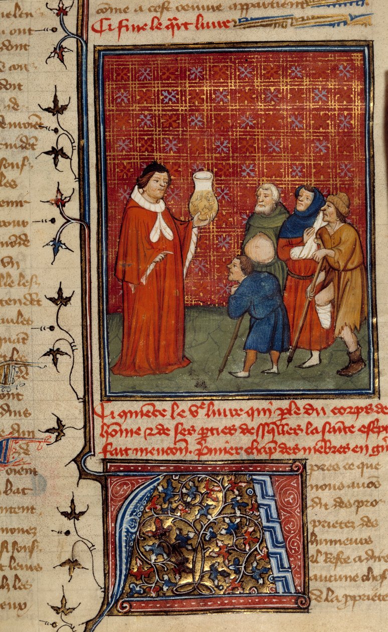 Um médico examinando um frasco de urina na frente dos pacientes. Miniatura tirada de Barthelemy, o inglês de Unknown artist