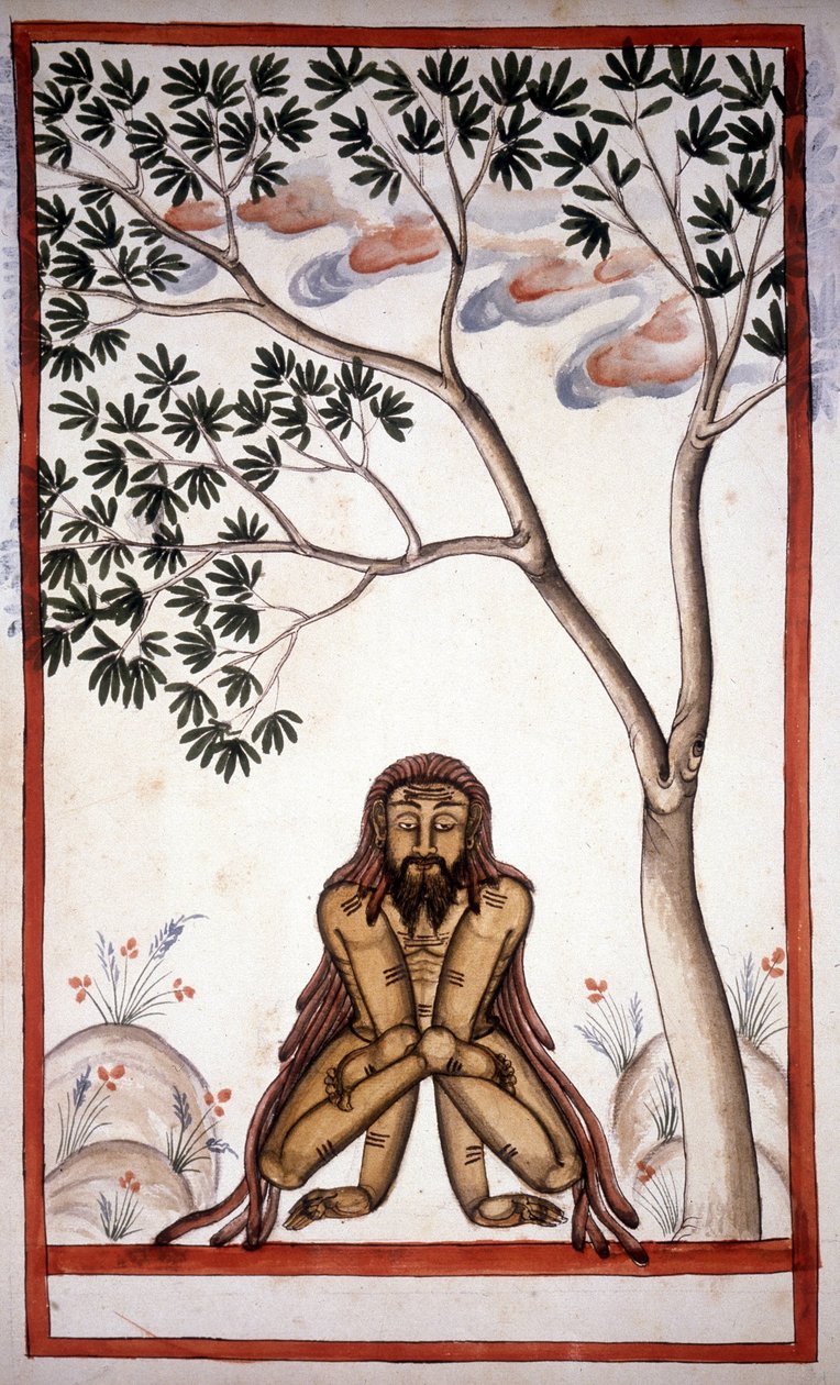Uma página de faquir do manuscrito (ms.8300) "História do Mogul" (Moghul ou Moghol) de Stefano Nivibus Cardeira. Século XVIII. Bibloteca marciana, Veneza de Unknown artist