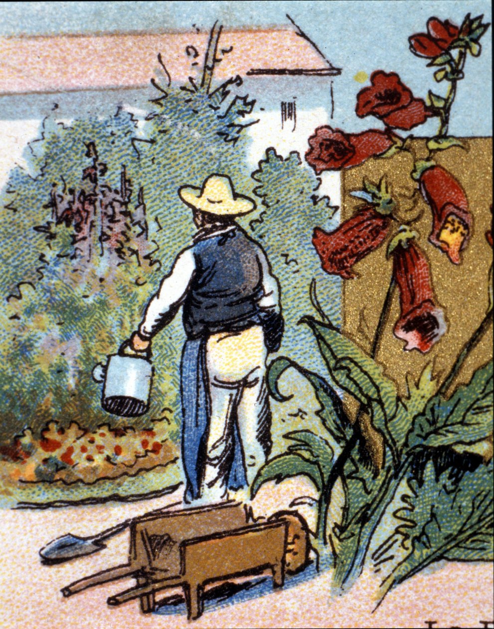 Um jardineiro, cromolitografia de Unknown artist