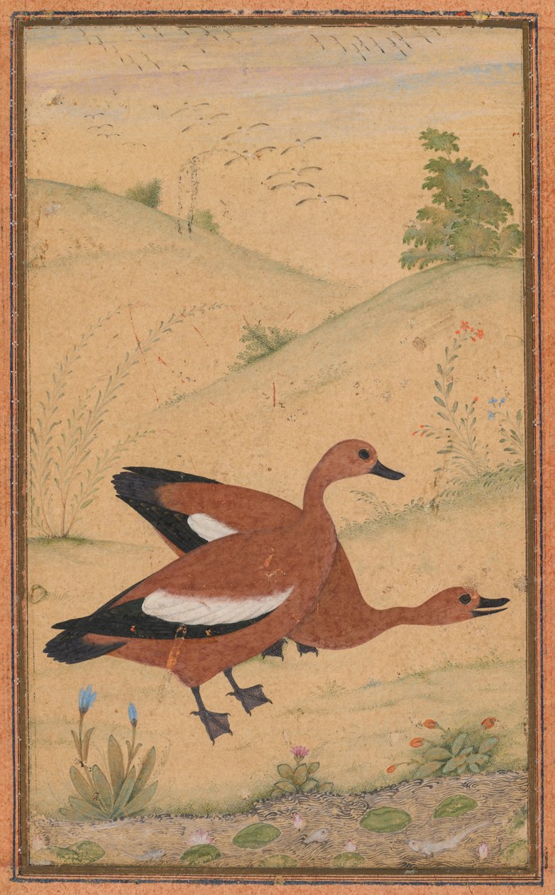 Um par de patos Brahminy de Unknown artist