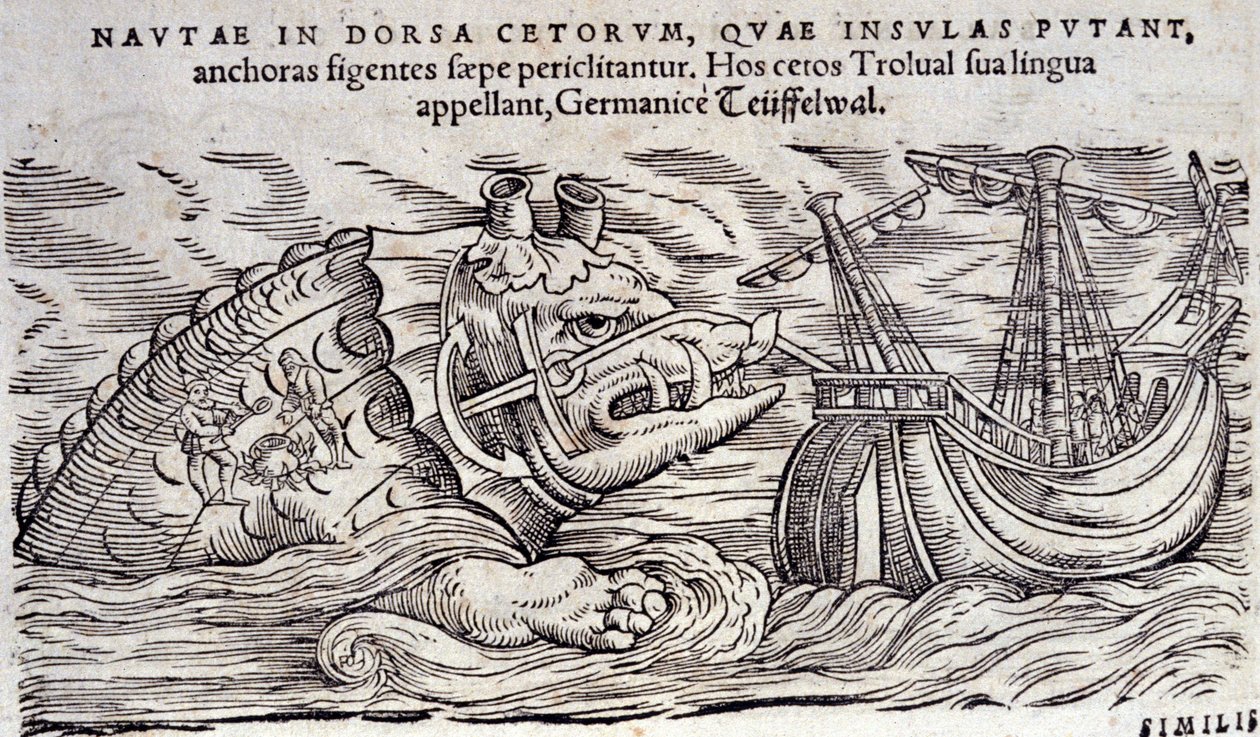 Uma baleia confundida com uma ilha. Duas pessoas acendem uma fogueira nas costas de um monstro marinho. Engraving n Historia Animalium de Conrad Gesner (1516-1565), Tiguri de Unknown artist