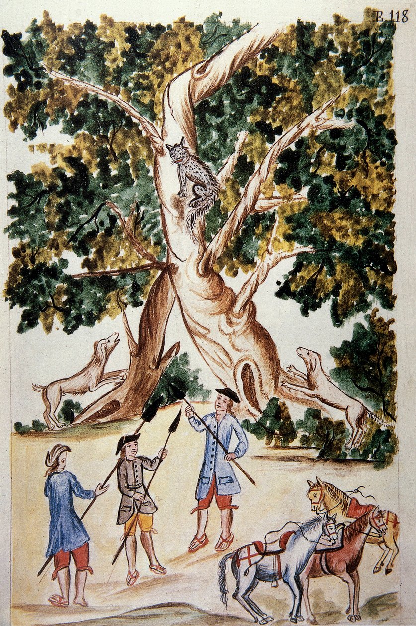 Um gato selvagem empoleirado numa árvore, caçadores esperam-no, do livro "Trujillo del Peru" ou "Códice Martínez Compañón", de Baltazar Martinez Compañón y Bujanda, bispo de Trujillo (1782-1785) de Unknown artist