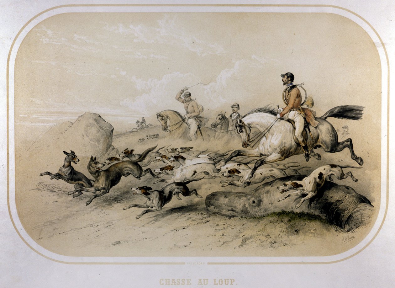 Uma caça ao lobo. Gravura do século XIX. de Unknown artist