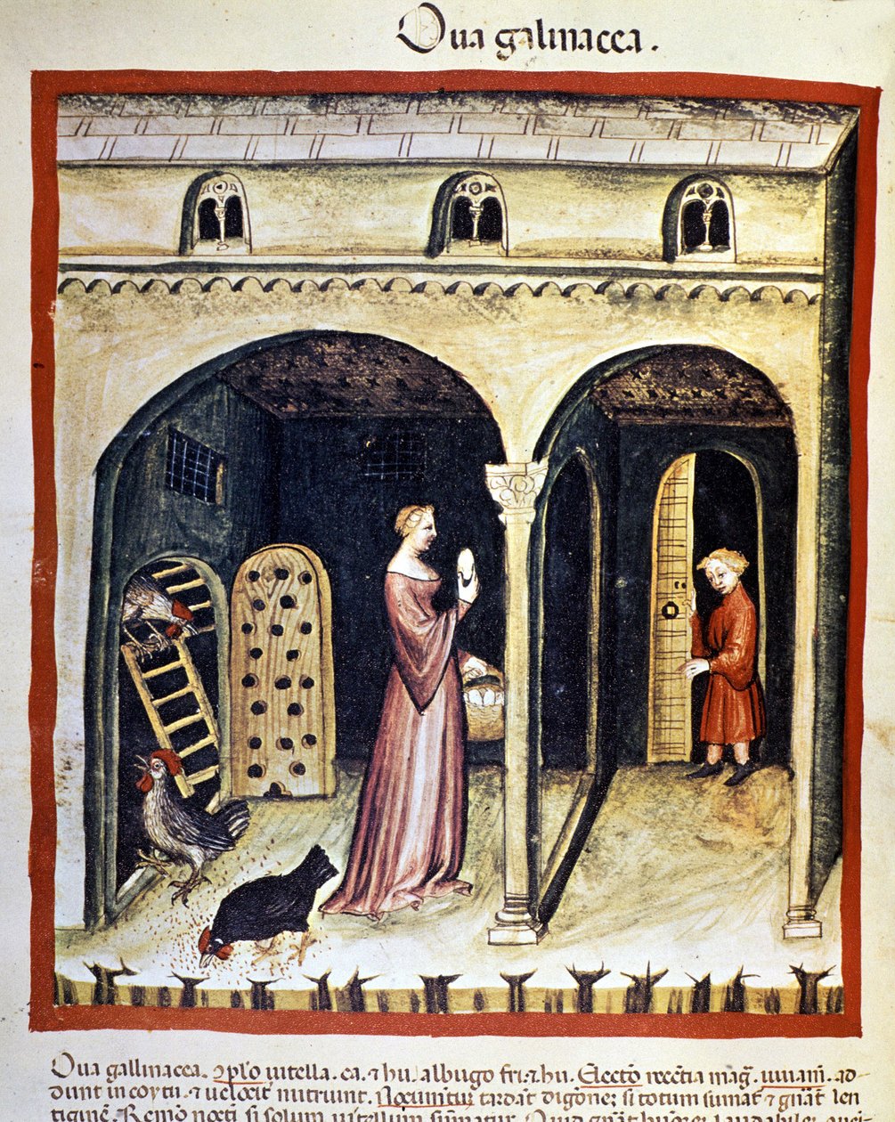 Uma jovem mulher apanha ovos de galinha. Iluminação a partir da ordenha de medicamentos e dietética "Tacuinum sanitatis". de Unknown artist