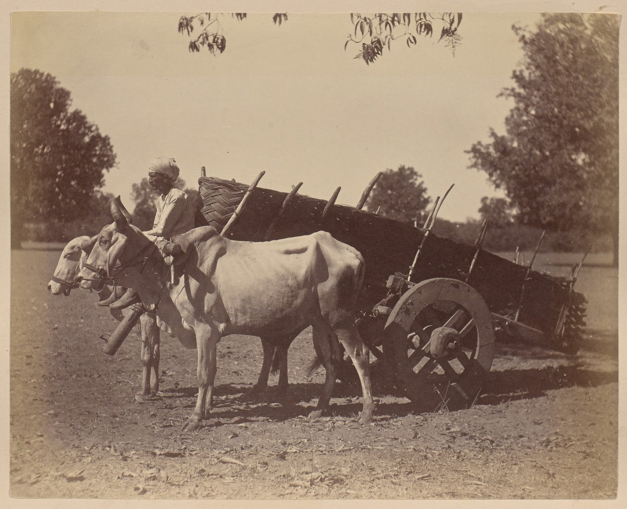 Carrinho agrícola, Guzerat de Unknown artist