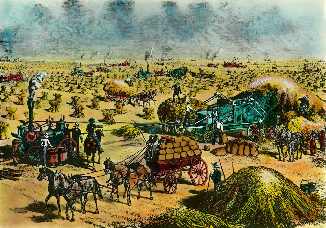 Revolução agrícola: colheita do trigo no Dakota por máquinas a vapor no século XIX. Gravura do século XIX. Paris, Artes Decorativas de Unknown artist