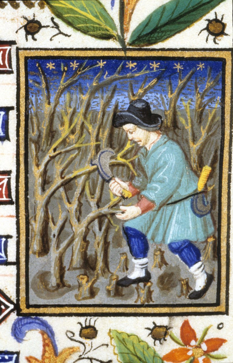 Representação alegórica de Março. Um homem que corta arbustos (camarões). Miniatura de um manuscrito do século XIV. de Unknown artist