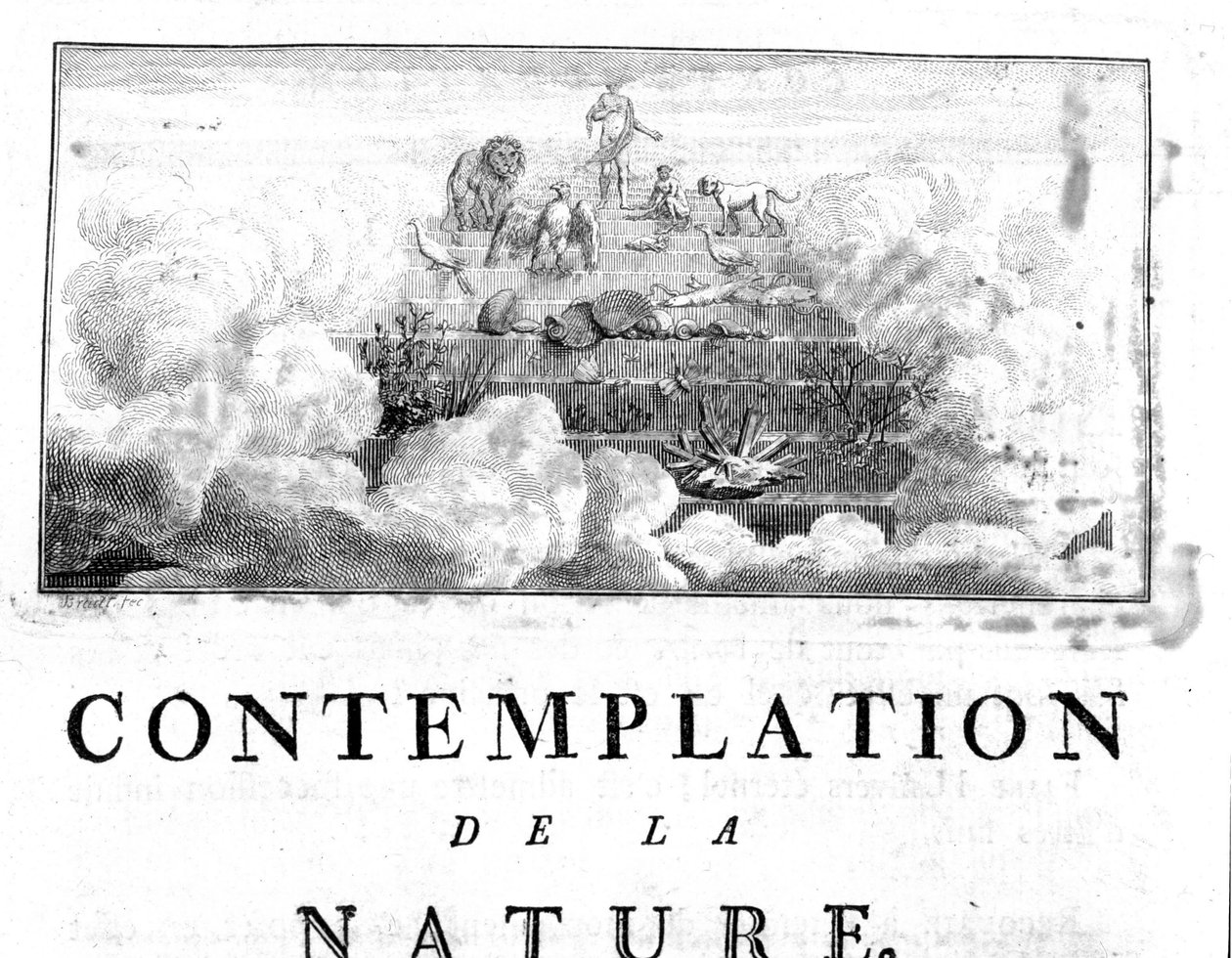 Representação alegórica da evolução do Homem dos minerais, passando por espécies vegetais e animais Charles Bonnet, Contemplação da Natureza, Neuchatel de Unknown artist