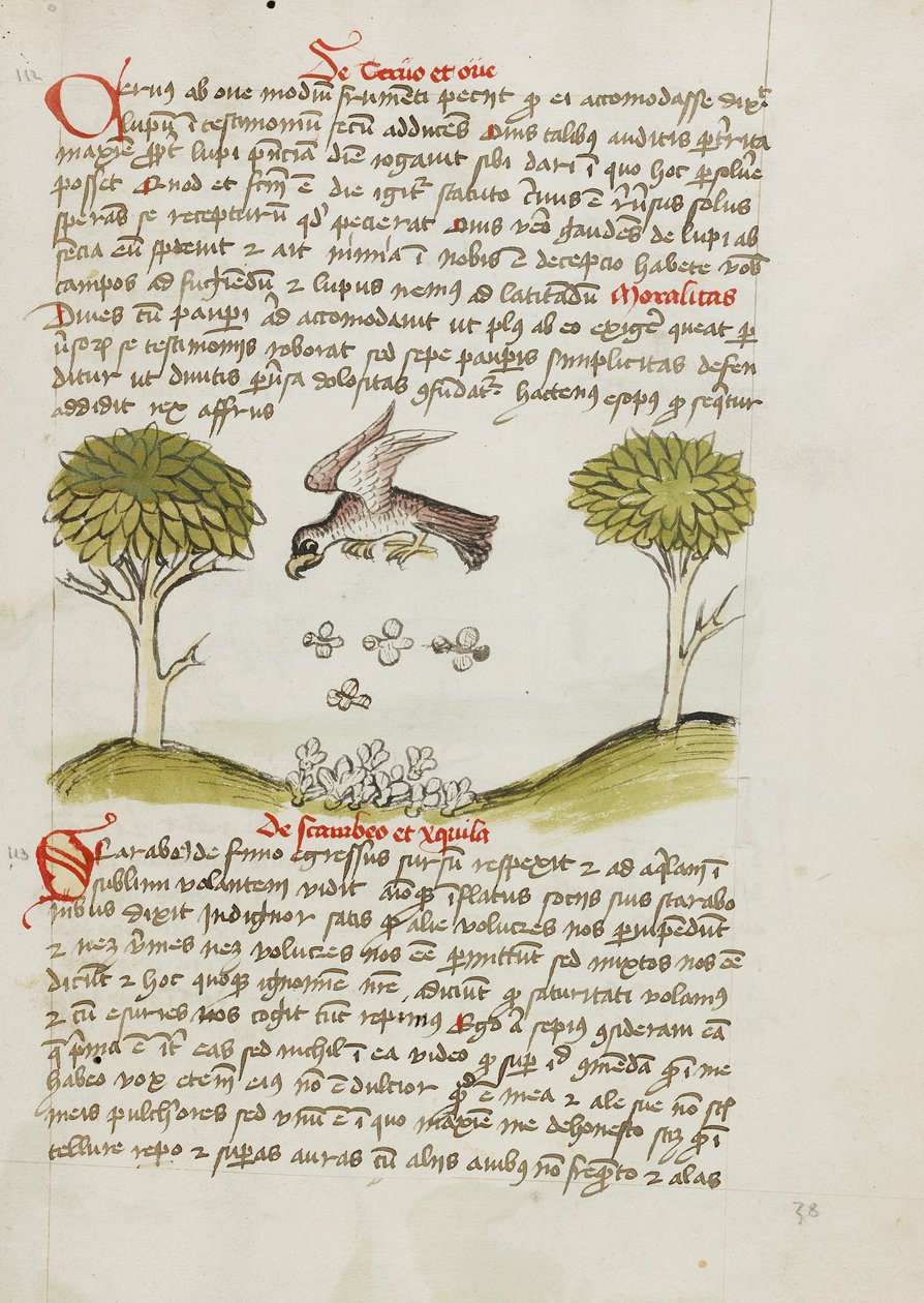 Uma águia a voar sobre um enxame de insectos de Unknown artist