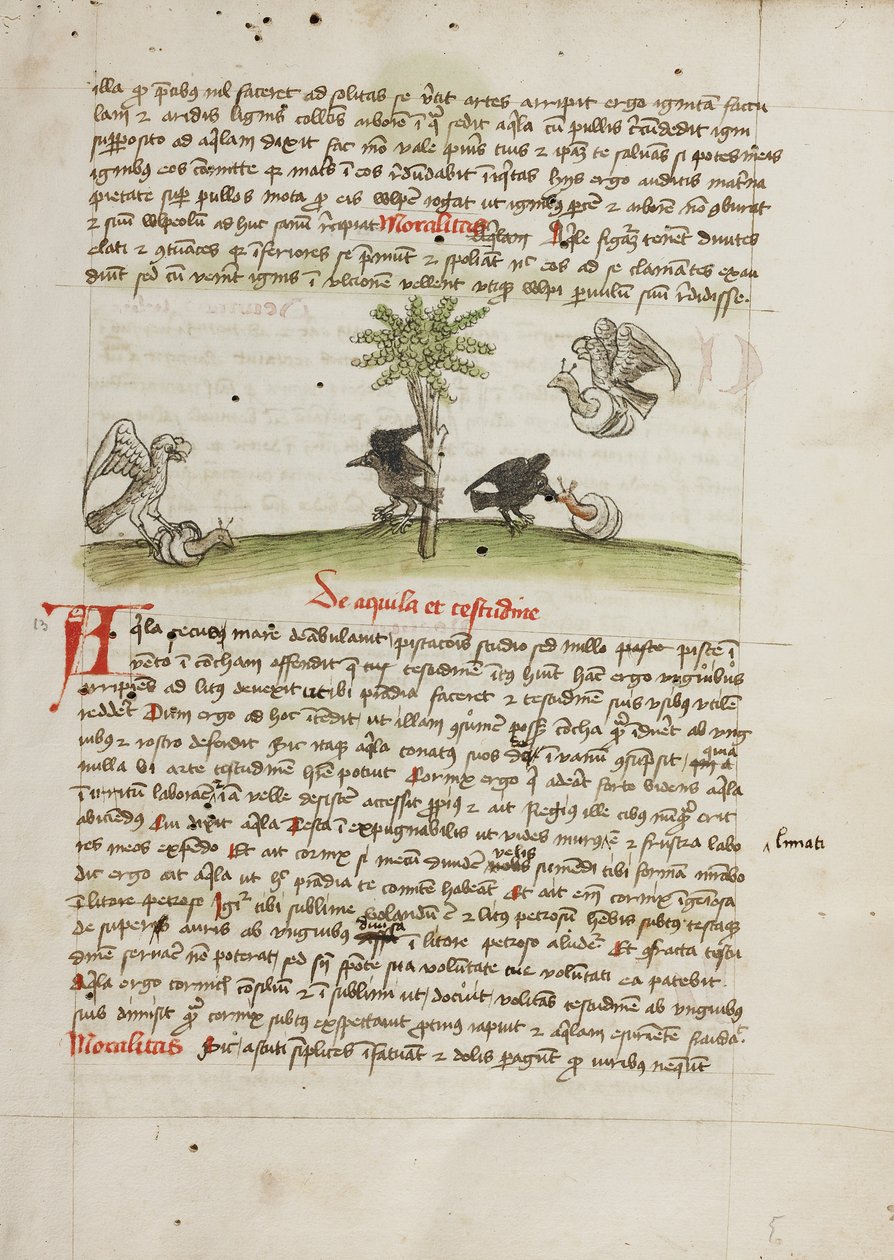 Uma águia a apanhar um caracol; um corvo a debicar um caracol de Unknown artist