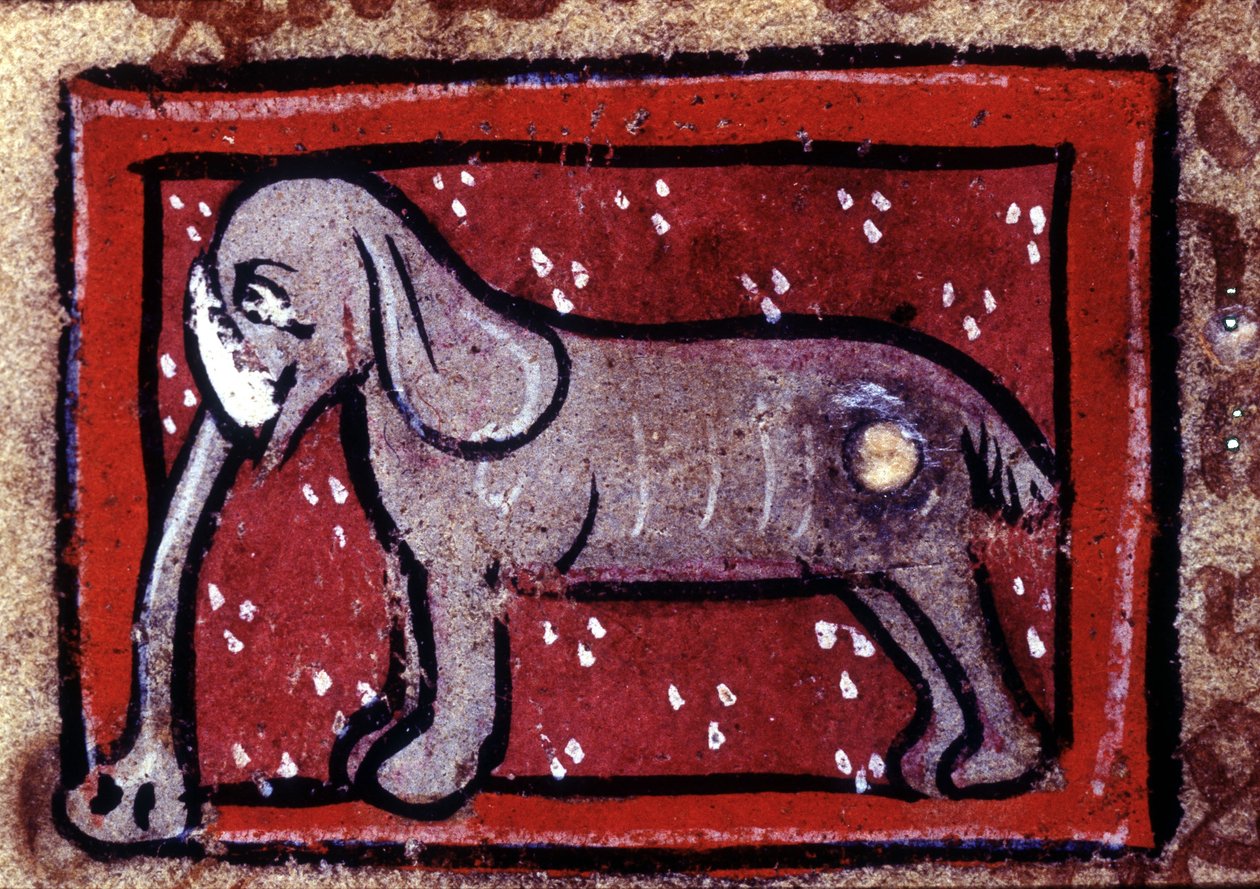 Um elefante - bestiário do século XIV. Milão, Biblioteca Trivulziana. de Unknown artist