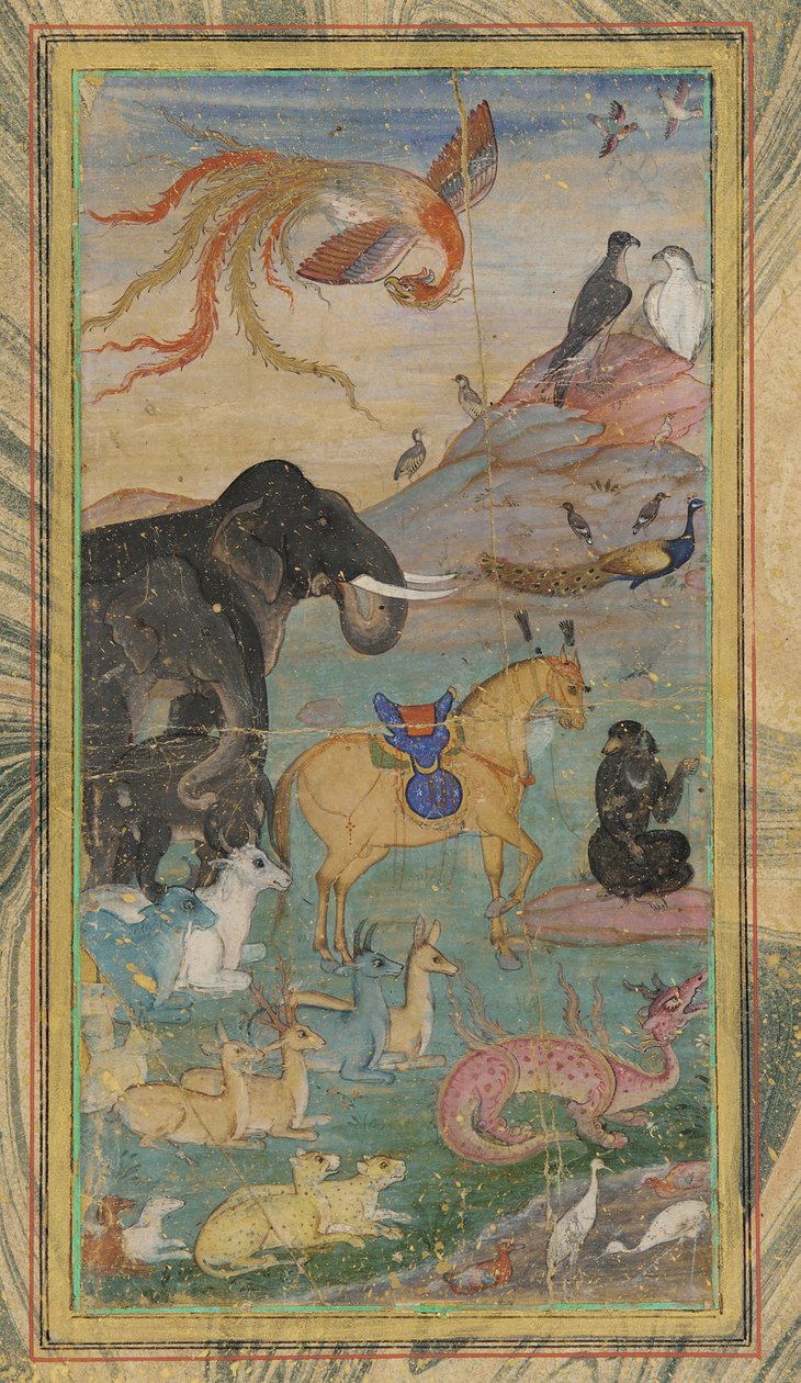 Animais e pássaros de Unknown artist