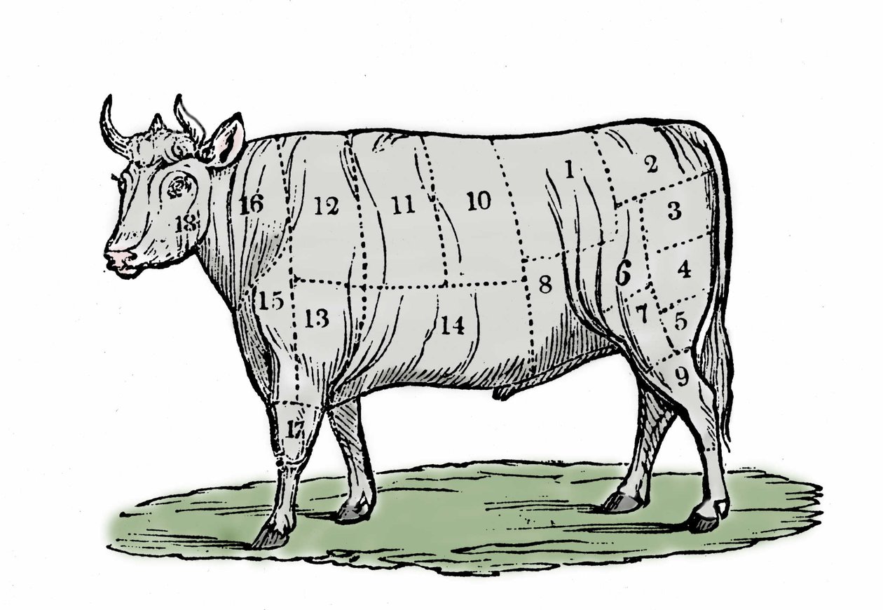 Ilustração anónima do final do século XIX. de Unknown artist