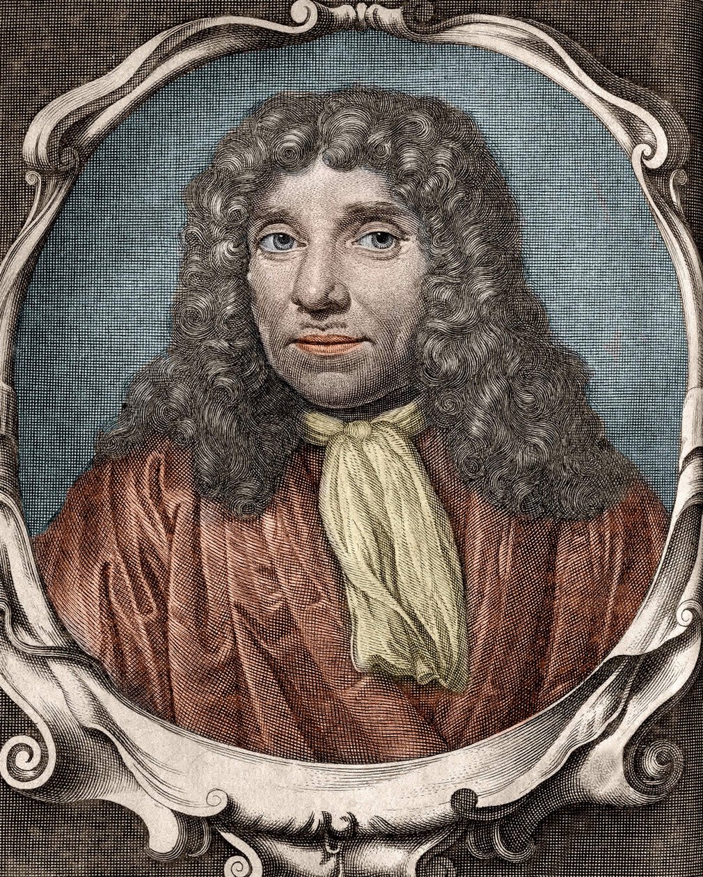 Anthony Van Leeuwenhoek ou Anton van Leeuwenhoek, ou Leeuvenhoek, ou Leeuwenhoeck.Dutch naturalist (1632 a 1723). gravura do século XVIII de Unknown artist