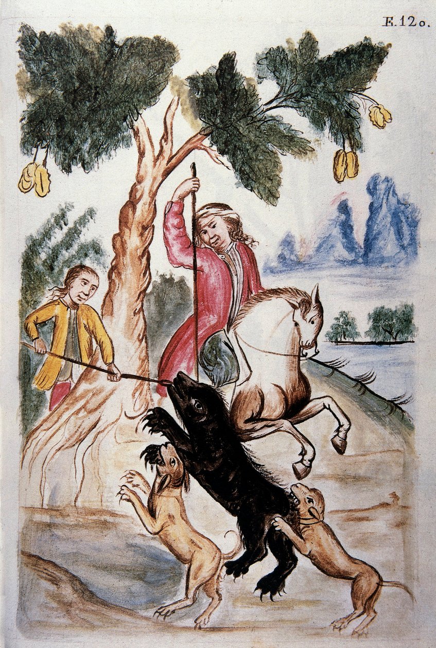 A caça ao urso, do livro "Trujillo del Peru" ou "Códice Martínez Compañón", de Baltazar Martinez Compañón y Bujanda, bispo de Trujillo (1782-1785) de Unknown artist