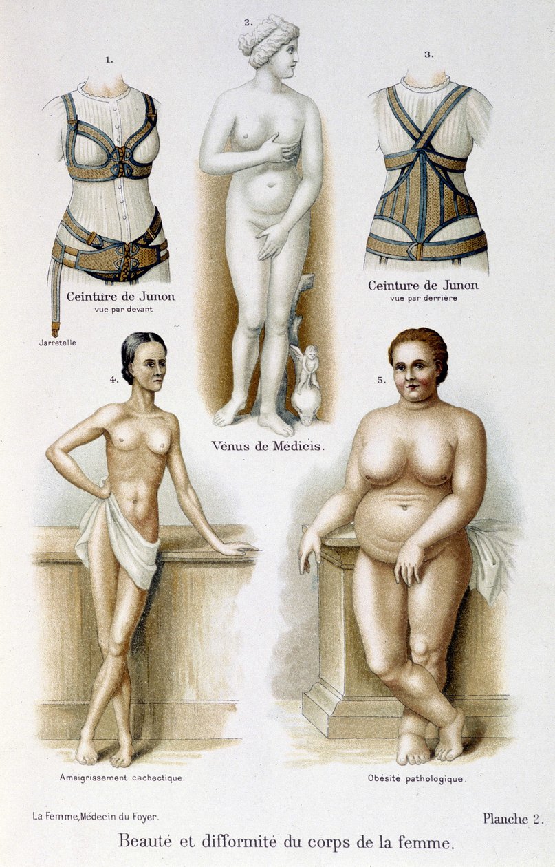 Beleza e deformidade do corpo da mulher (magra e obesidade); Cintos de Juno - em "A mulher, médica doméstica". de Unknown artist