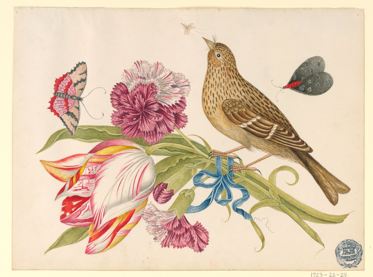 Pássaro com tulipa, cravo, borboletas e inseto de Unknown artist