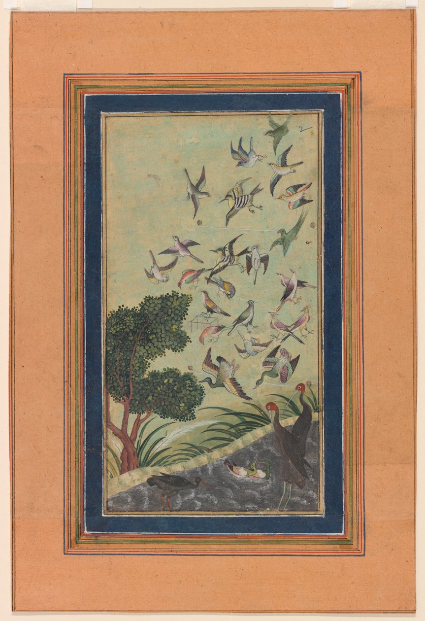 Aves em Baran, possivelmente do Babur-nama de Unknown artist