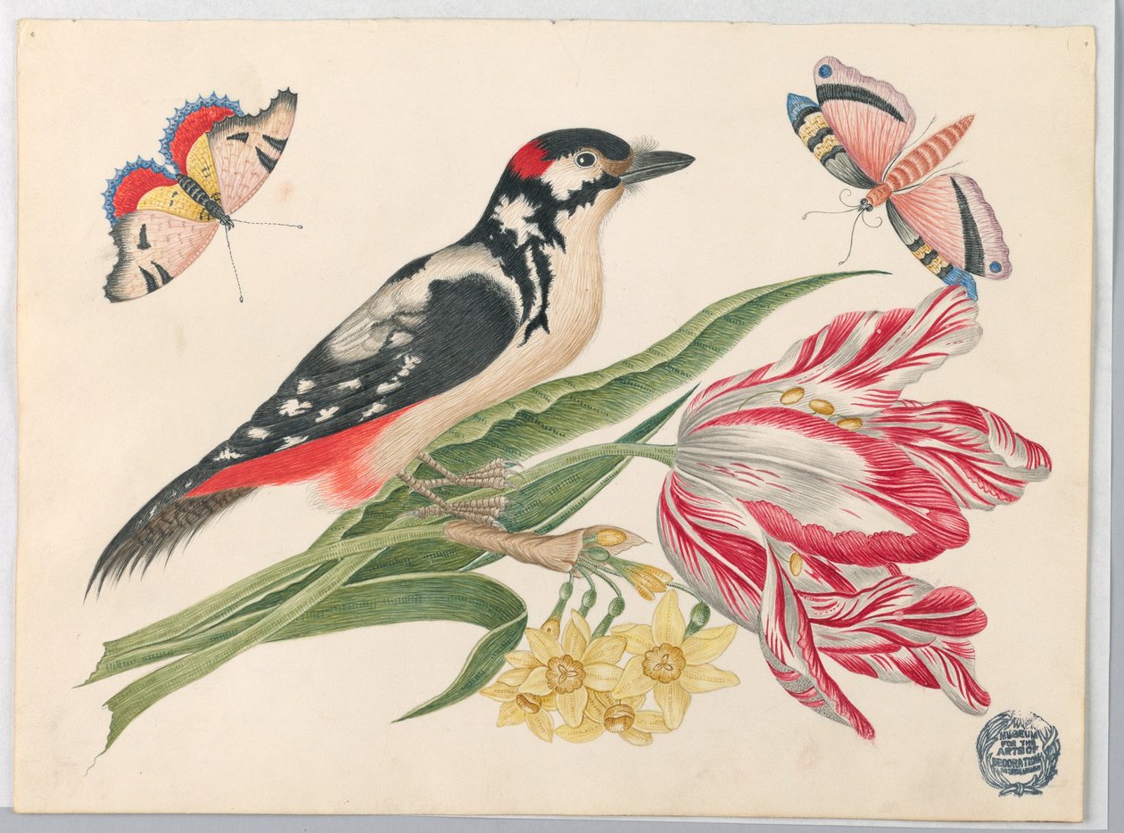 Pássaro malhado preto e branco na haste da tulipa, com narcisos e borboletas de Unknown artist