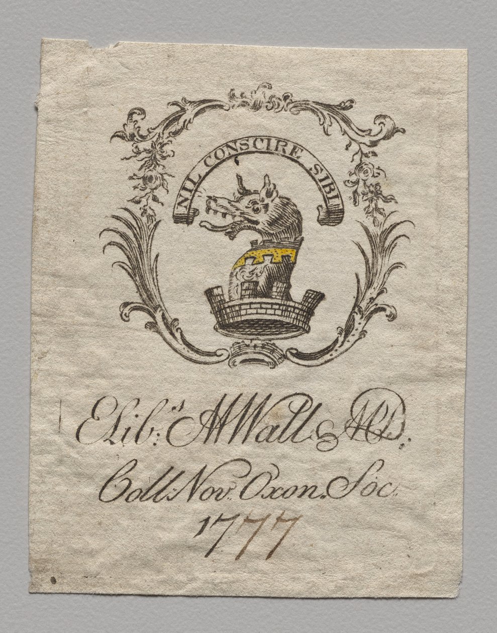 Exemplar: Elizabeth M. Watt, M.D. de Unknown artist