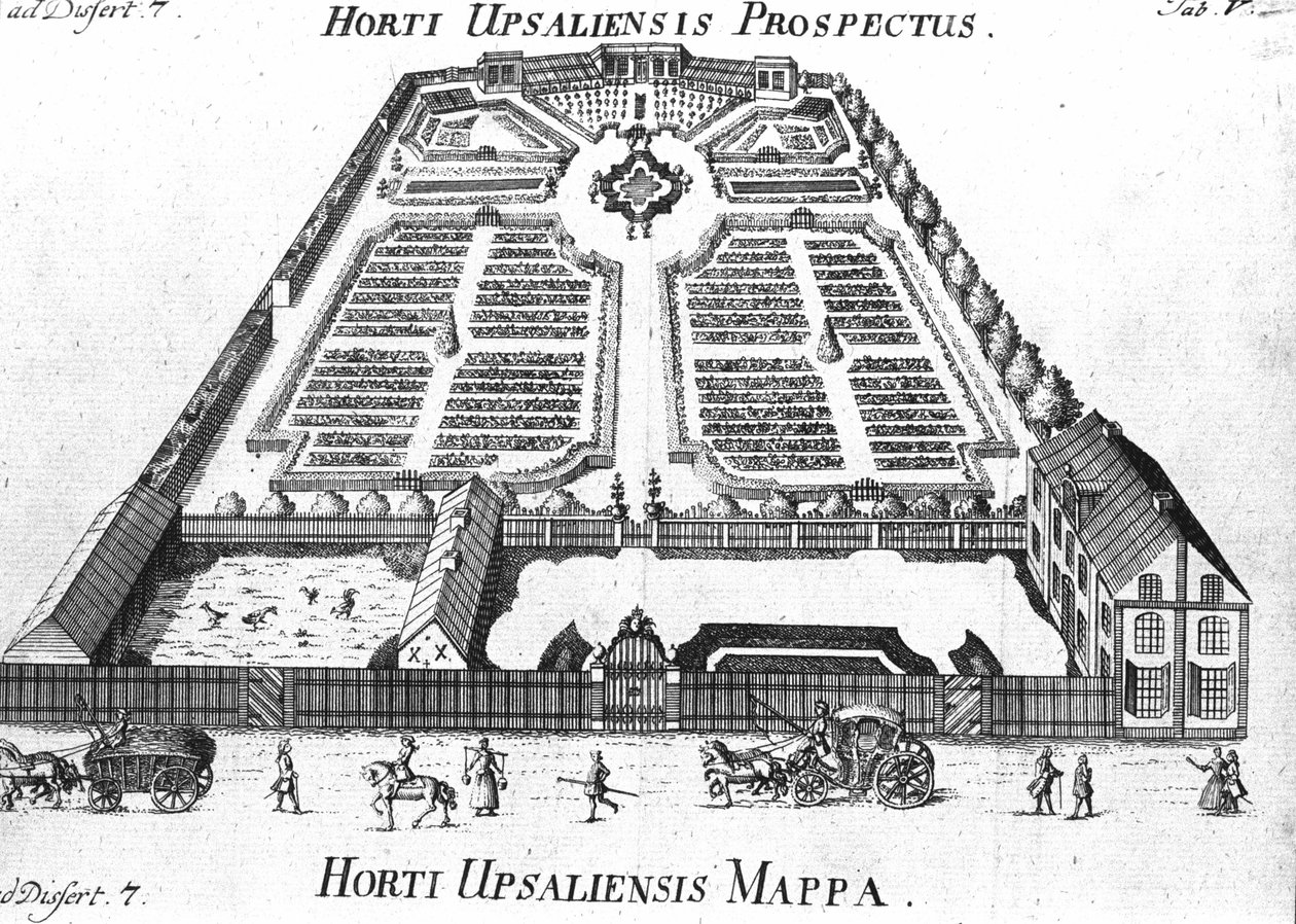Jardim Botânico - HORTI UPSALIENSIS perspectiva e plano. de Unknown artist