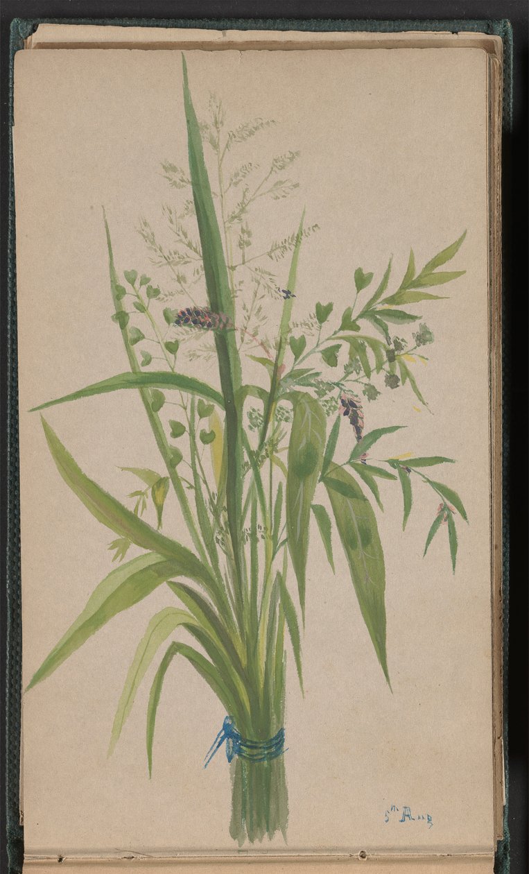 Ramos de Flores e Gramíneas de Unknown artist